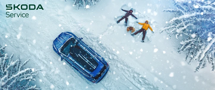 skoda-winter-check.png